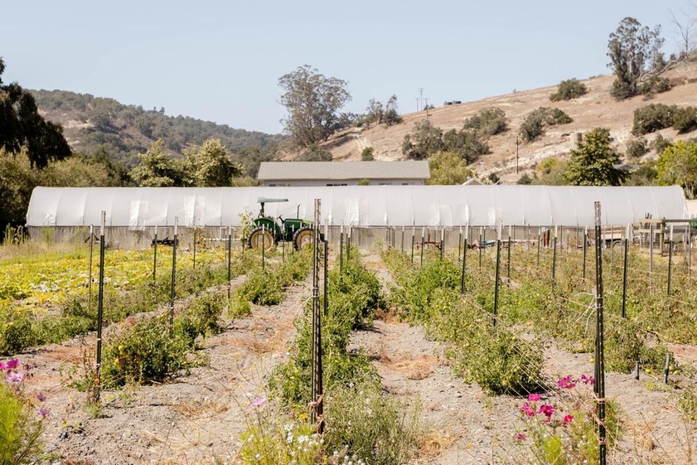 Wild Hair Studio-Stylish Farm Stay W Ev Charger Arroyo Grande Bagian luar foto